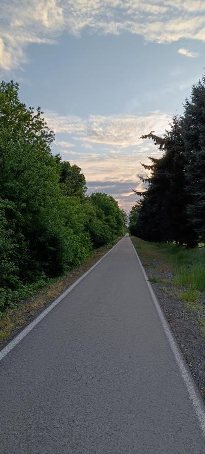 Ferienwohnung Maeurer Leipziger Neuseenland Groitzsch Zewnętrze zdjęcie